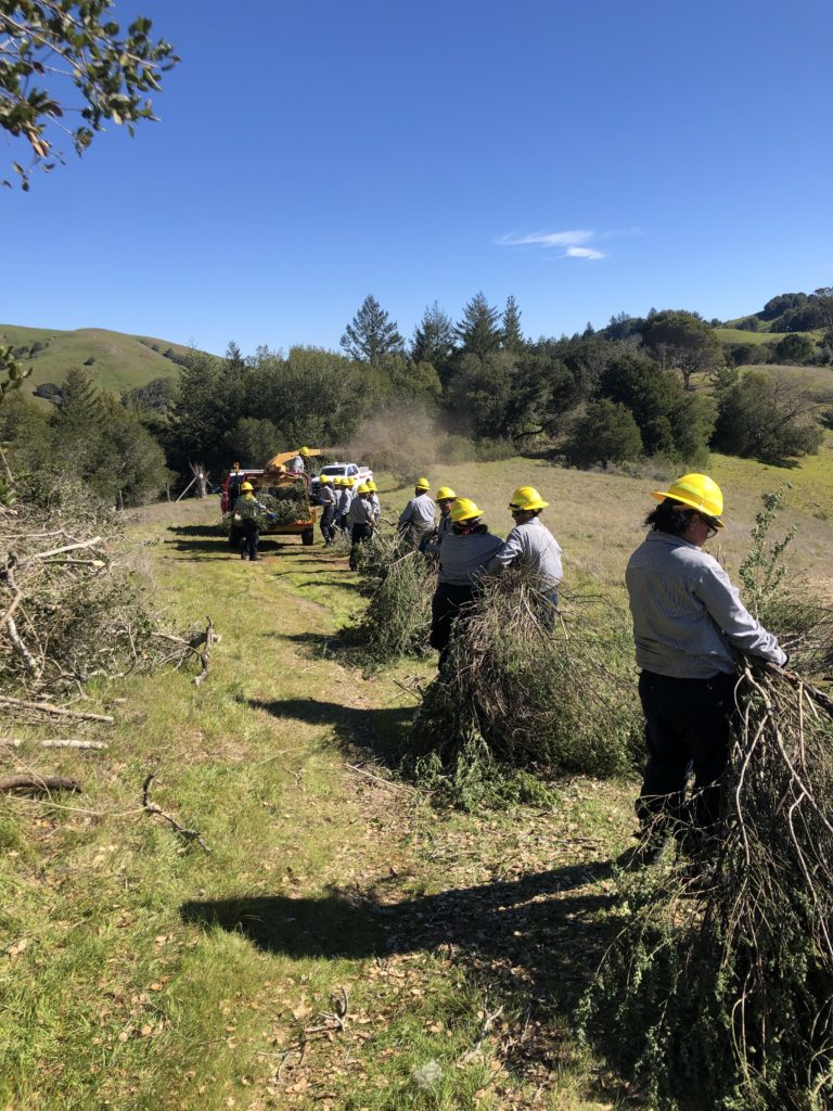 Photo of wildfire mitigation cleanup in progress