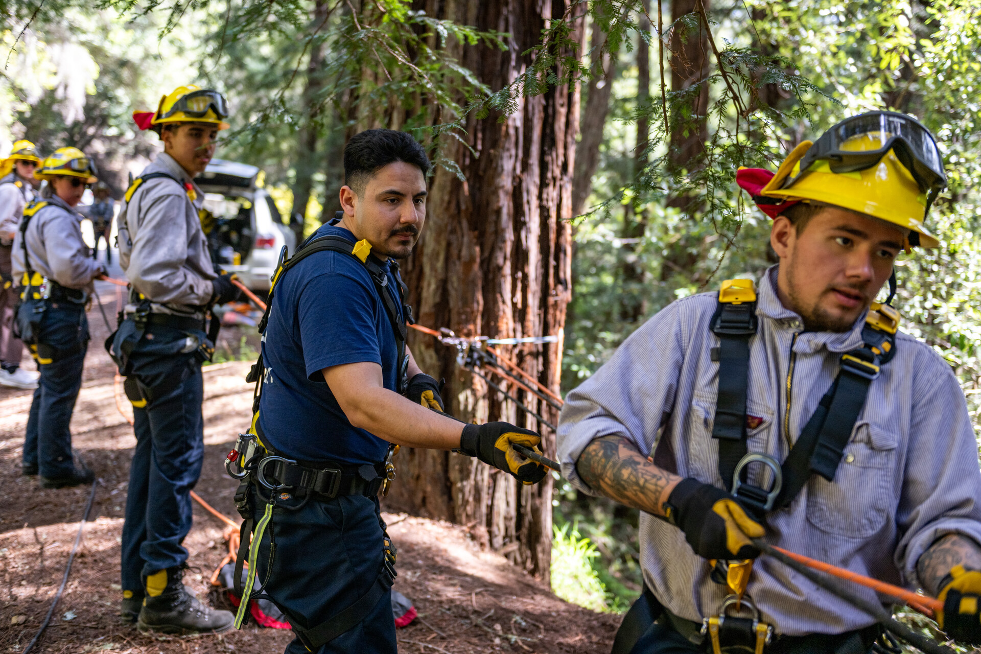 (From left) Alfredo Campos, Lupe Duran, Rafael Sanchez and Fire Foundry students train in rope rescue during a class in Marin on April 21, 2023.